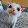 Örnek Resim