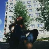 Örnek Resim