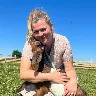 Örnek Resim
