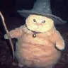 Örnek Resim