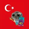 Örnek Resim