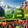 Örnek Resim