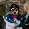 Örnek Resim