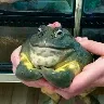 Örnek Resim