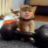 Örnek Resim