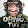 Örnek Resim