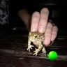 Örnek Resim