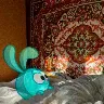 Örnek Resim