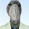 Örnek Resim
