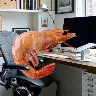 Örnek Resim