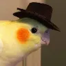 Örnek Resim