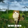 Örnek Resim