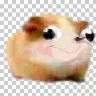 Örnek Resim
