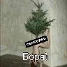 Örnek Resim