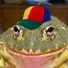 Örnek Resim