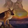 Örnek Resim