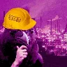 Örnek Resim
