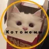 Örnek Resim