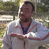 Örnek Resim