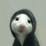 Örnek Resim