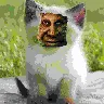 Örnek Resim