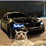 Örnek Resim