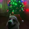 Örnek Resim