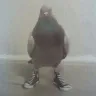 Örnek Resim