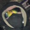 Örnek Resim