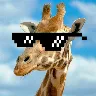 Örnek Resim