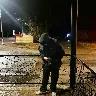 Örnek Resim