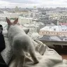 Örnek Resim