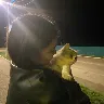 Örnek Resim