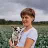 Örnek Resim
