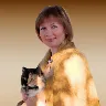 Örnek Resim