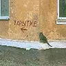 Örnek Resim