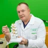 Örnek Resim