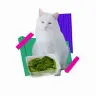 Örnek Resim