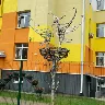 Örnek Resim