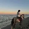 Örnek Resim