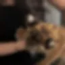 Örnek Resim