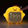Örnek Resim