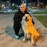 Örnek Resim