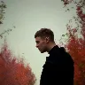 Örnek Resim