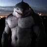 Örnek Resim