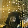 Örnek Resim