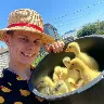 Örnek Resim