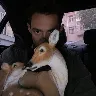 Örnek Resim