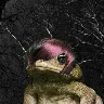 Örnek Resim