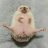 Örnek Resim
